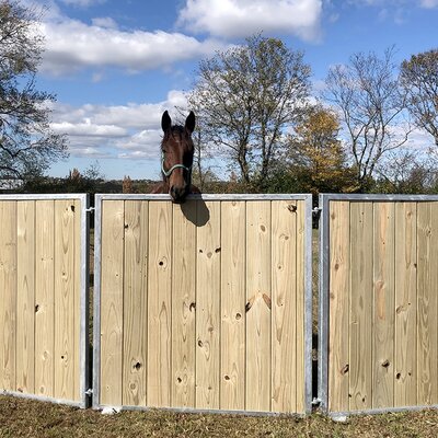 Our new Premium fence preventing an escape attempt.