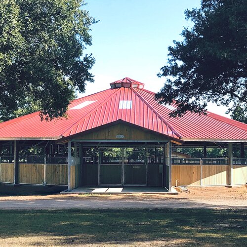 66ft 6-Horse Ceiling-Mounted Walker - Houston, TX