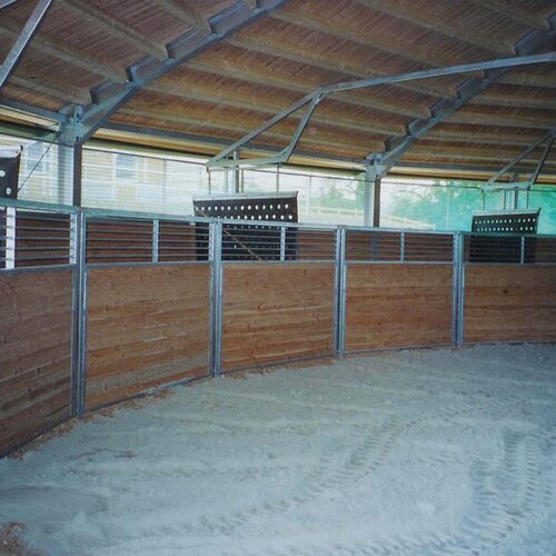 Ceiling-Mounted Horse Walker, 24m, 12 Horses, Spanish Riding School, Austria