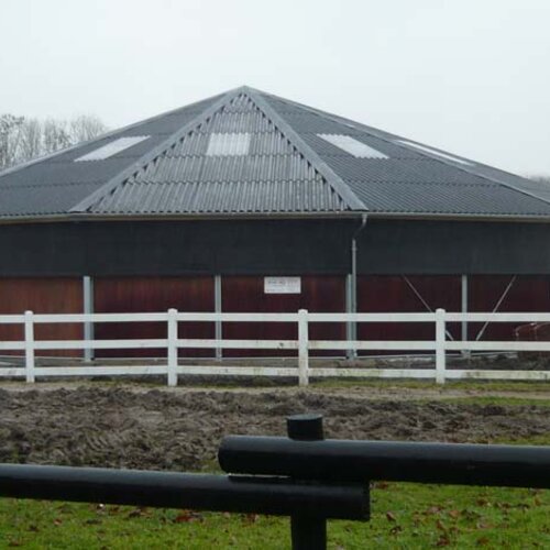 Ceiling-Mounted Horse Walker, 22m, 8 Horses, Abtshof, Germany