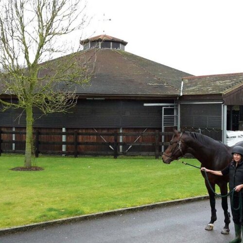 Ceiling-Mounted Horse Walker, 20m, Hampshire Equine Clinc, Great Britain