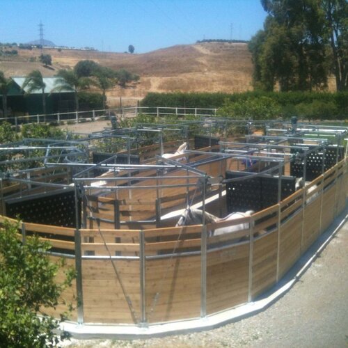 Rail-Gliding Horse Walker Rail-Gliding Horse Walker