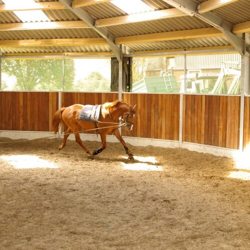 Covered Lunging Pen, 18m, Matthias Schepper, Germany Covered Lunging Pen, 18m, Matthias Schepper, Germany