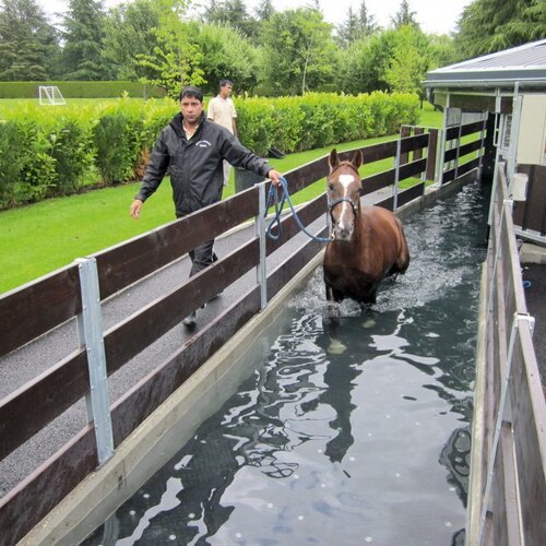 Wasser-Führanlage, 10x20m, 6 Pferde, Großbritannien Wasser-Führanlage, 10x20m, 6 Pferde, Großbritannien