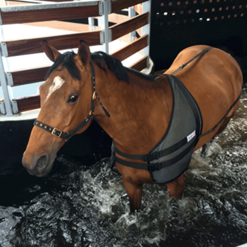 Wasser-Führanlage, 10x20m, 6 Pferde, Lindsay Racing, Neuseeland Wasser-Führanlage, 10x20m, 6 Pferde, Lindsay Racing, Neuseeland
