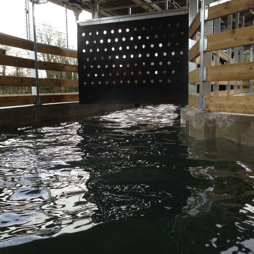 Wasser-Führanlage, 10x20m, 6 Pferde, Brian Ellison, Großbritannien Wasser-Führanlage, 10x20m, 6 Pferde, Brian Ellison, Großbritannien