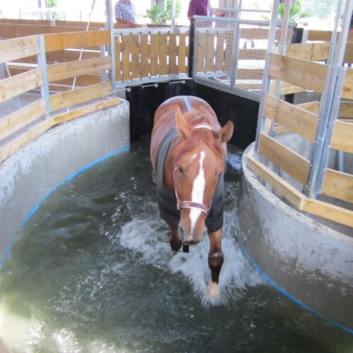 Wasser-Führanlage, 8x16m, 5 Pferde, Familie Hackenesch, Deutschland Wasser-Führanlage, 8x16m, 5 Pferde, Familie Hackenesch, Deutschland