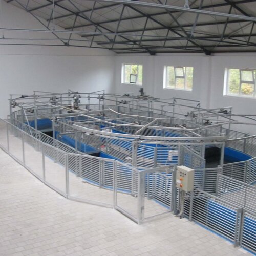 Wasser-Führanlage, 8x16m, 5 Pferde, Pferdepraxis Trier, Deutschland Wasser-Führanlage, 8x16m, 5 Pferde, Pferdepraxis Trier, Deutschland